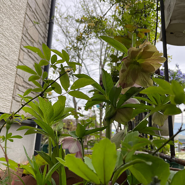 natsumiさんの部屋