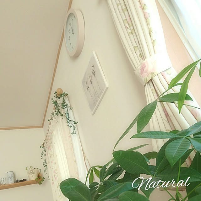 moku2さんの実例写真