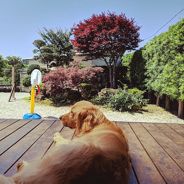 woodyさんの実例写真