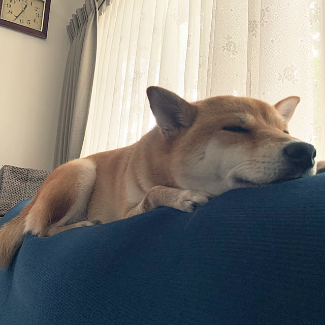 queenさんの実例写真