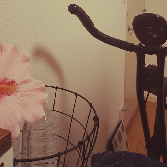sikaさんの実例写真