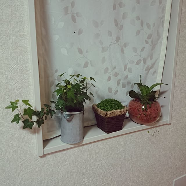 kohakohaさんの実例写真
