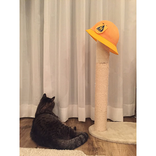 nocomomさんの実例写真