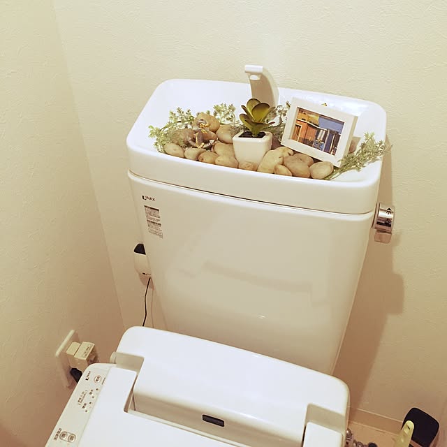 airu__katsuさんの実例写真