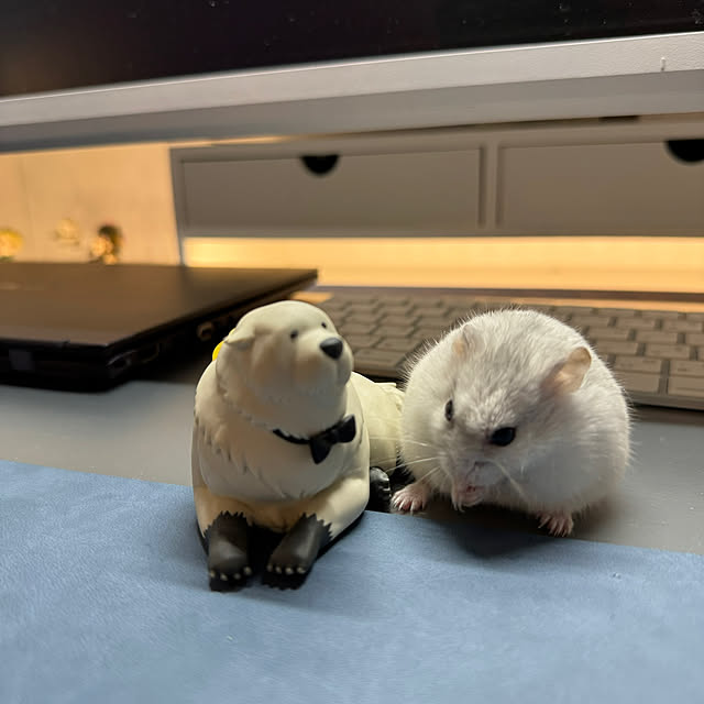 Rainyさんの部屋