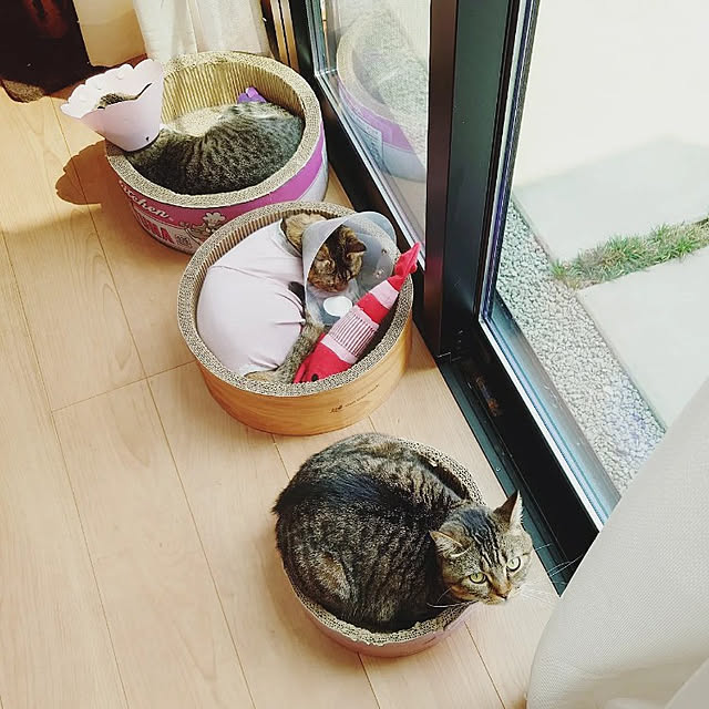 mochicoさんの実例写真