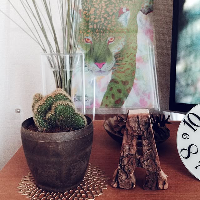 saさんの実例写真