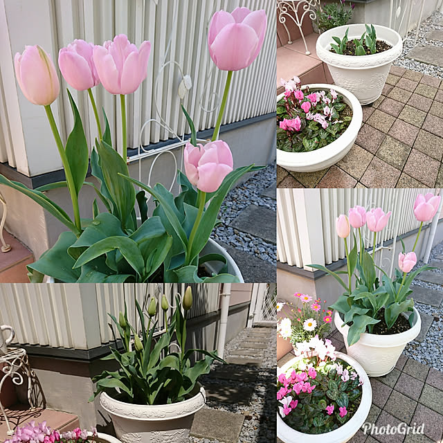 fleur-mamanさんの実例写真