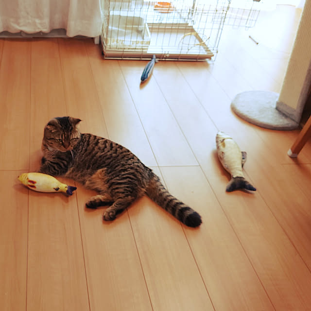 noguriさんの実例写真