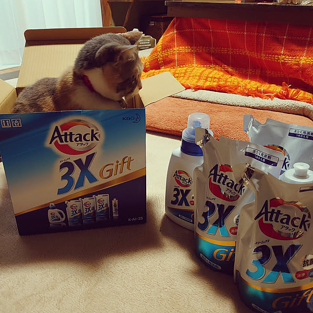 fukuさんの実例写真