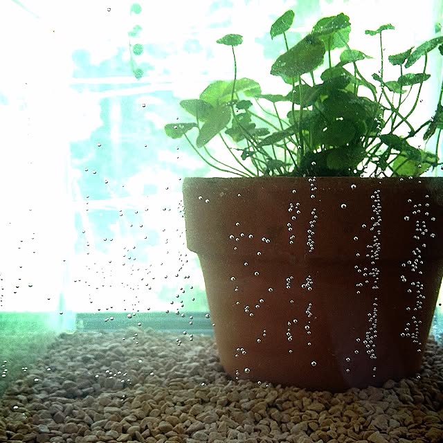 L.さんの実例写真