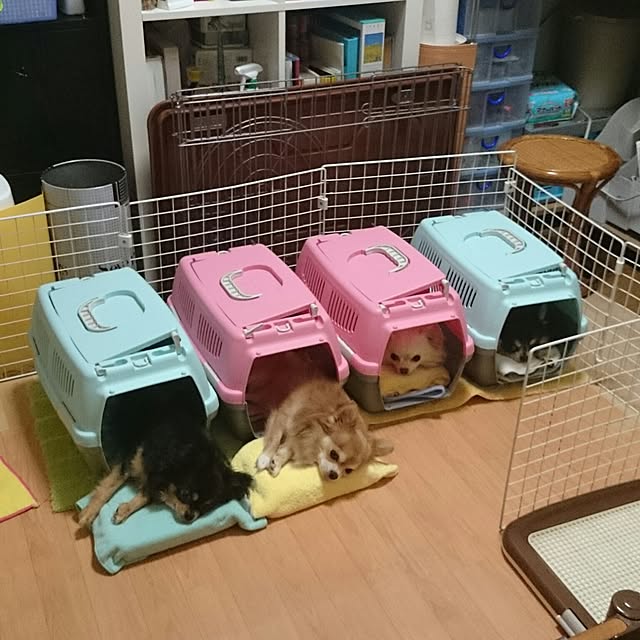 Eirさんの実例写真