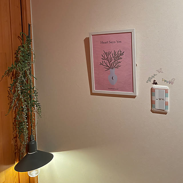 kakoさんの実例写真