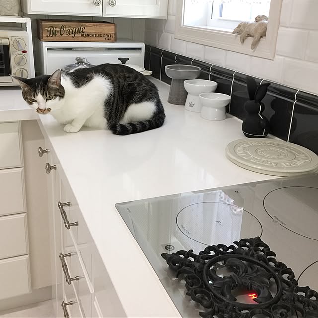 yuchiさんの実例写真
