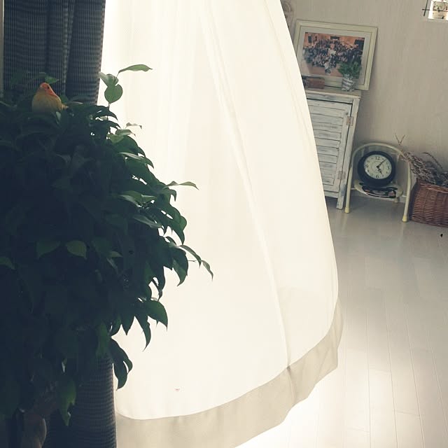 Emiさんの実例写真