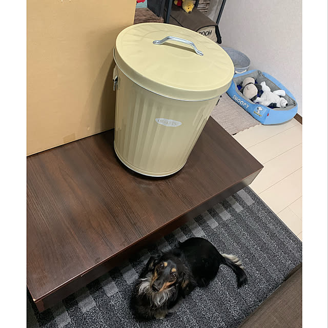 akipuさんの実例写真