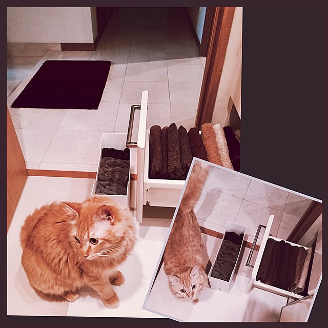 Ryokoさんの実例写真