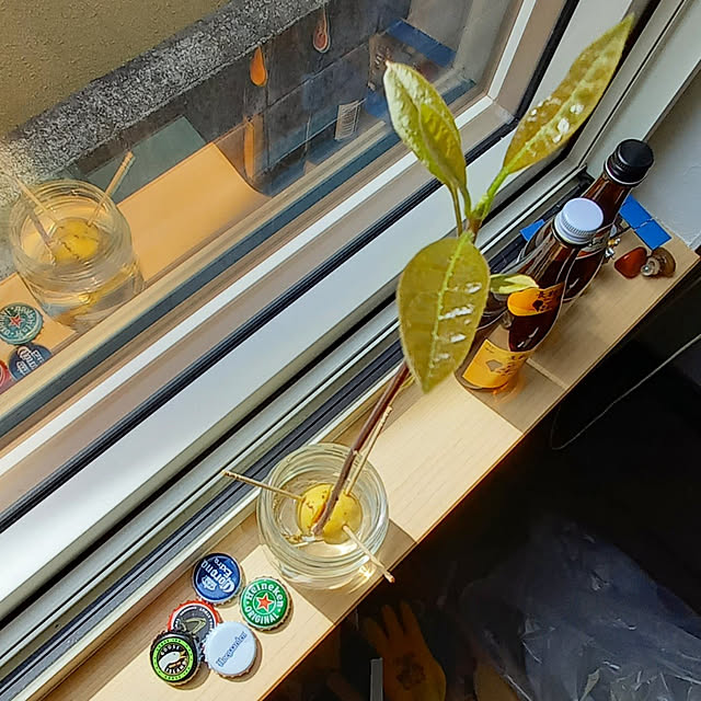 pomeさんの実例写真