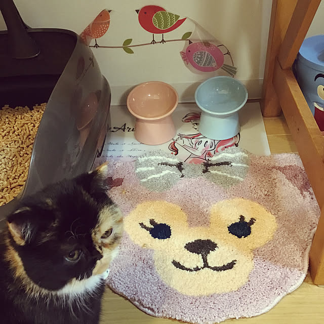 amiさんの実例写真