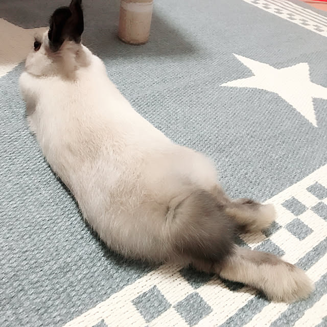HaHaさんの実例写真