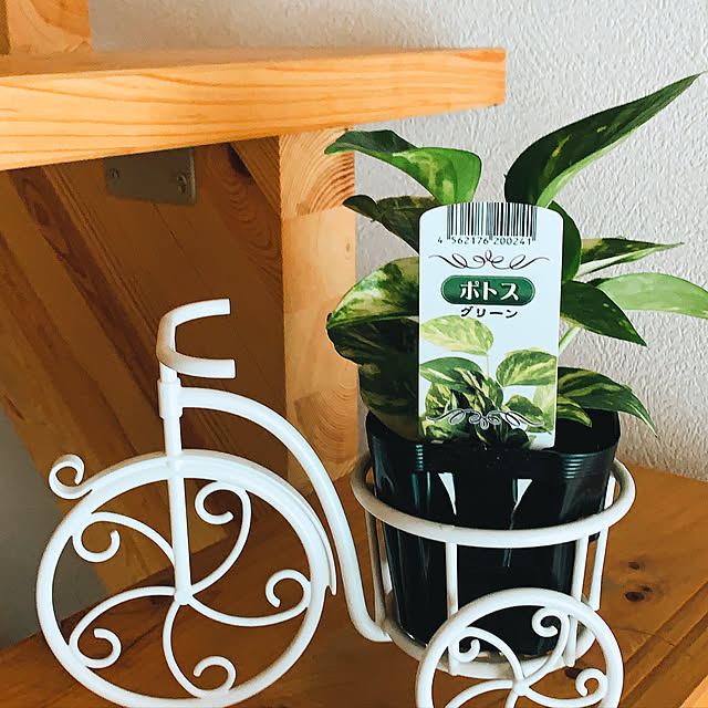 jyojiさんの実例写真