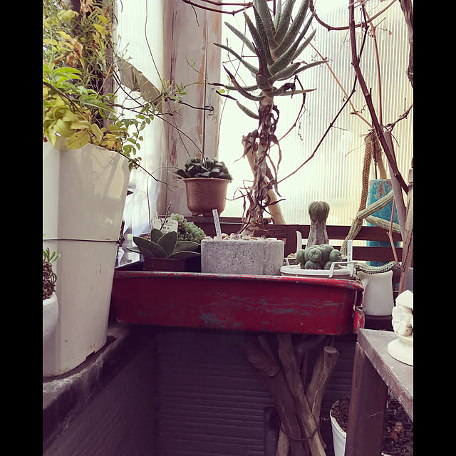 abandonedmineさんの実例写真