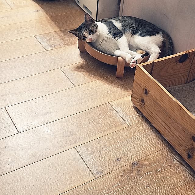 akimameさんの部屋