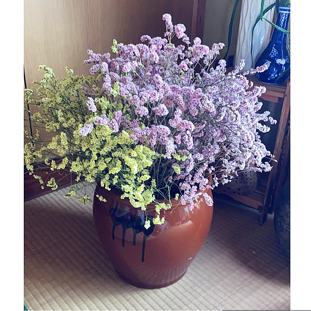 CoCo0617さんの部屋