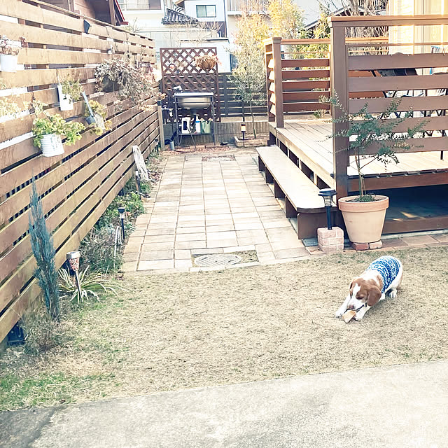 goro_wanさんの実例写真