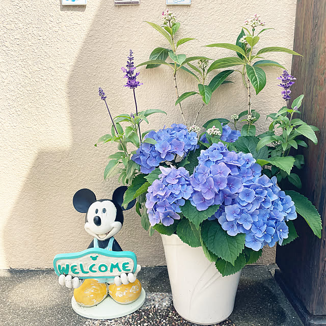 aki0106さんの部屋