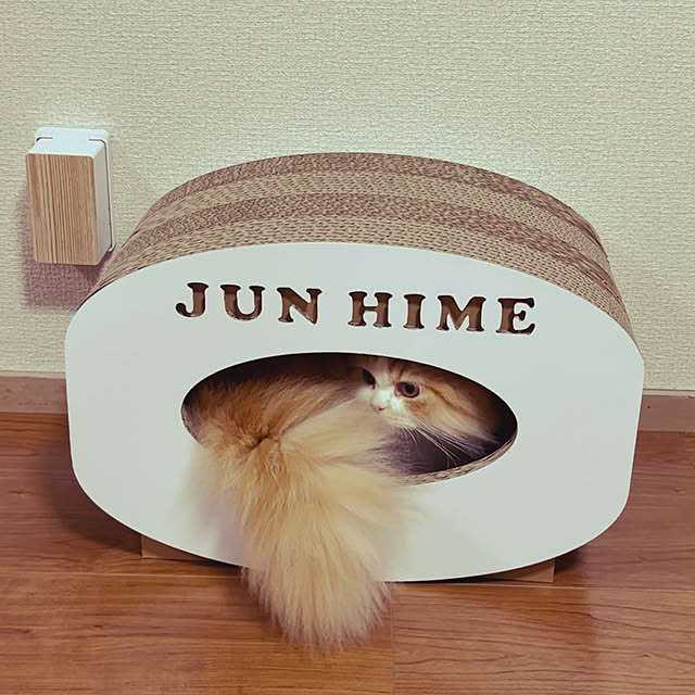 junさんの実例写真