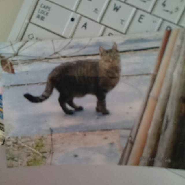 lilyさんの実例写真