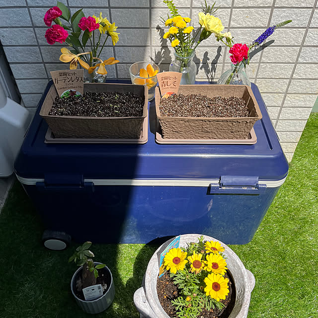 chamuさんの部屋