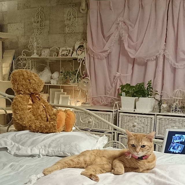 asuminさんの実例写真