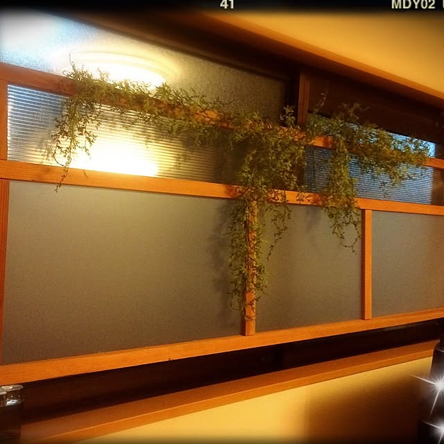 cororiyoさんの実例写真