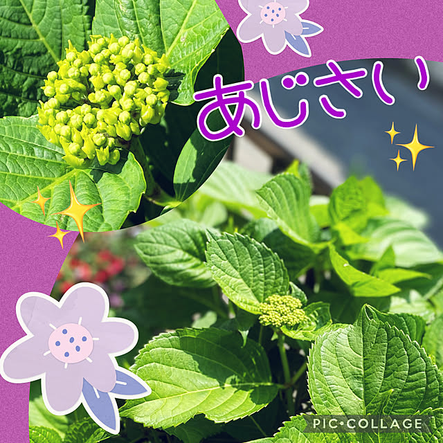 Smilkazuさんの実例写真