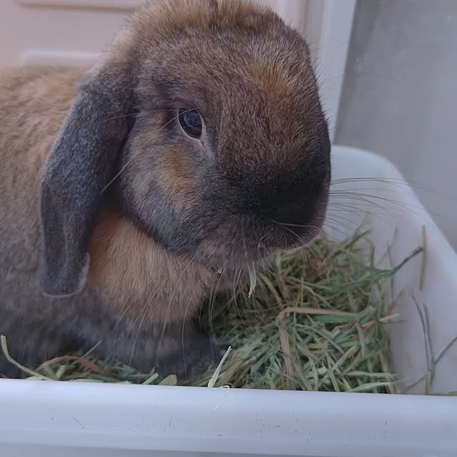 mariaさんの部屋