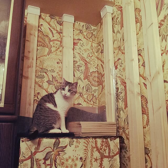 emmyyさんの実例写真