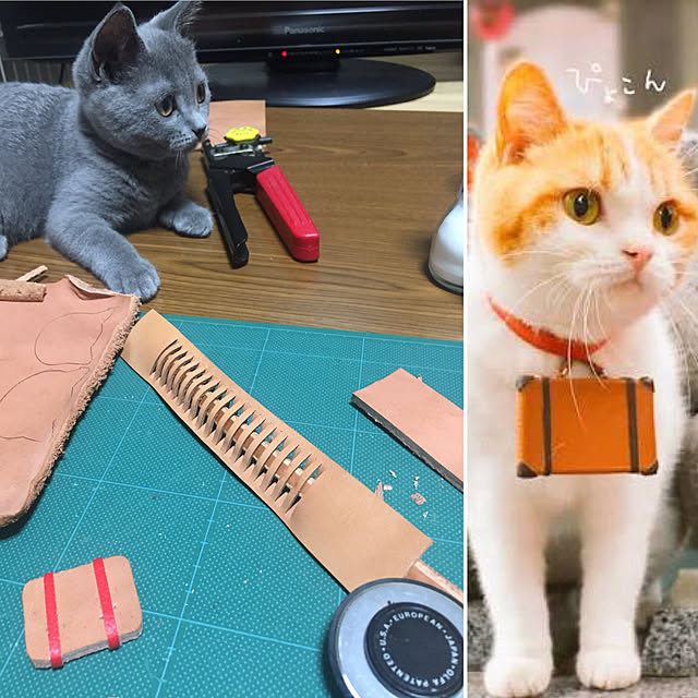 masaさんの実例写真