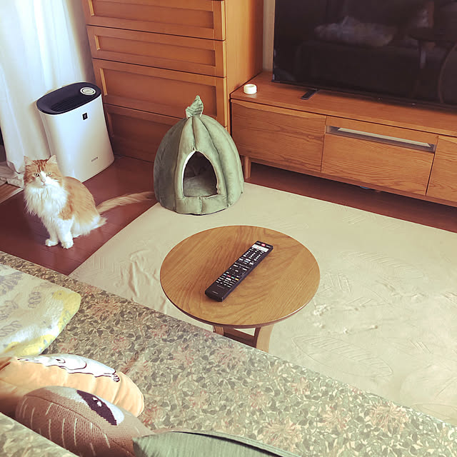 uchidaizuさんの実例写真