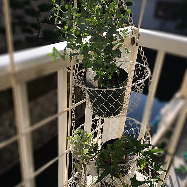 natulove0418さんの実例写真