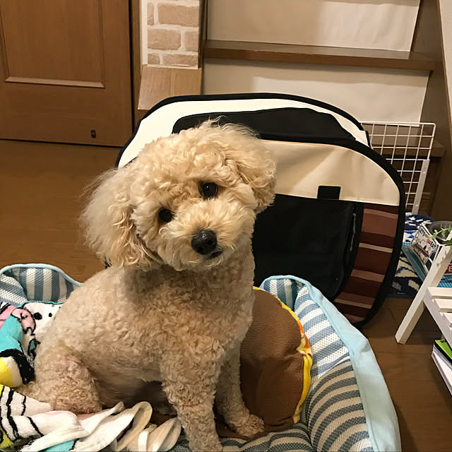 yuki89さんの実例写真