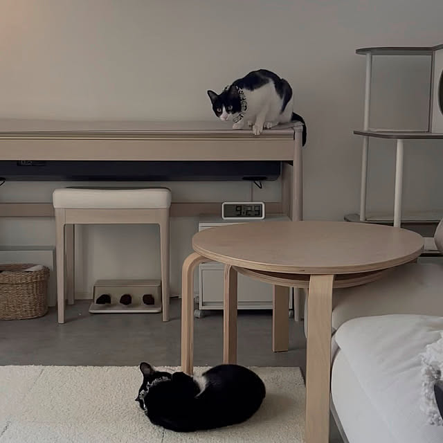 chakiさんの実例写真