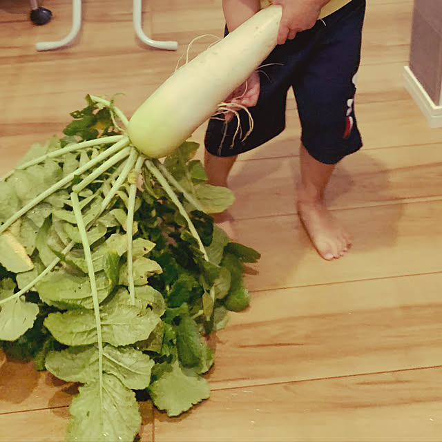 miiaさんの実例写真