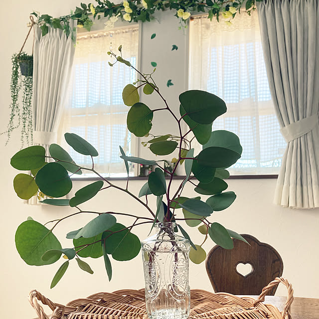 セリア/ナチュラル/観葉植物/北欧/カフェ風...などのインテリア実例 - 2021-05-23 14:32:27
