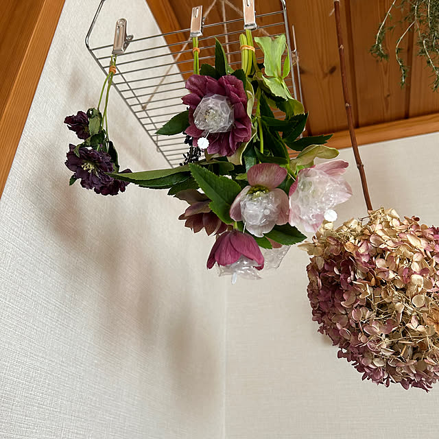 botanさんの部屋