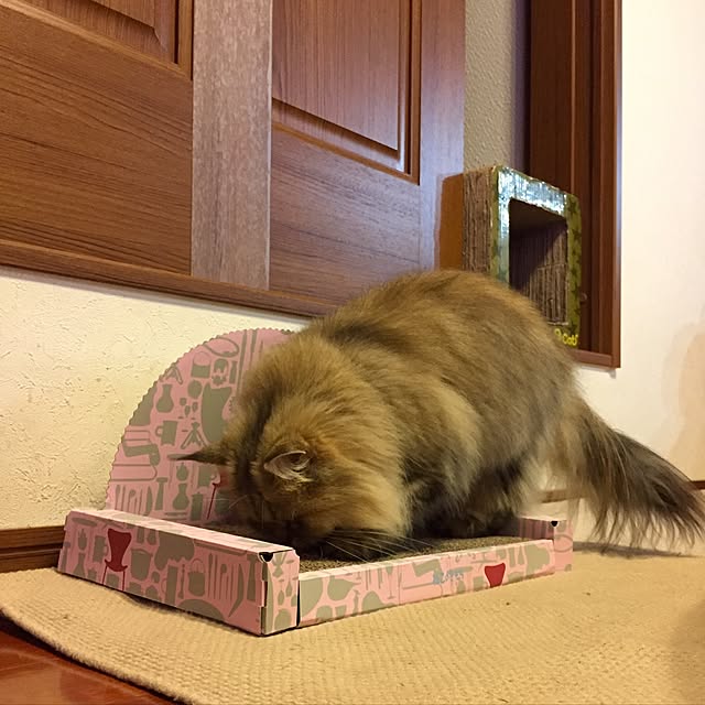 butachanさんの実例写真