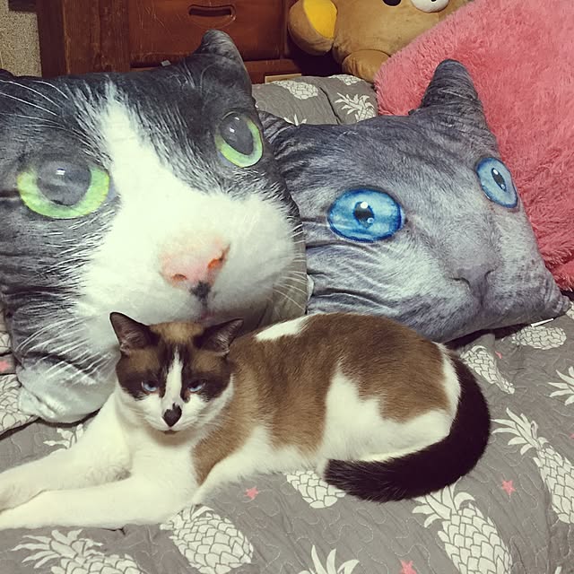 vivienne.coco-keiさんの実例写真