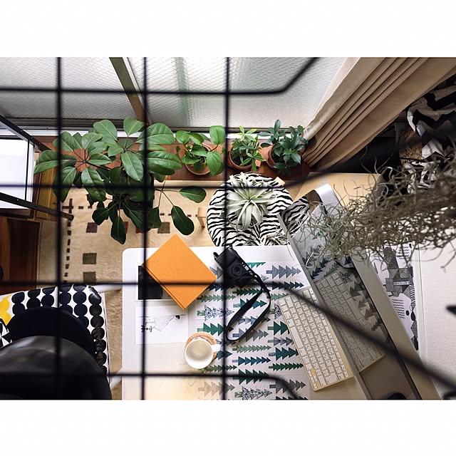 Hororoさんの実例写真