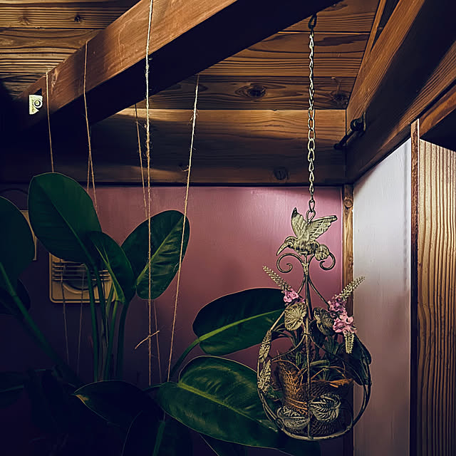 chacoさんの部屋